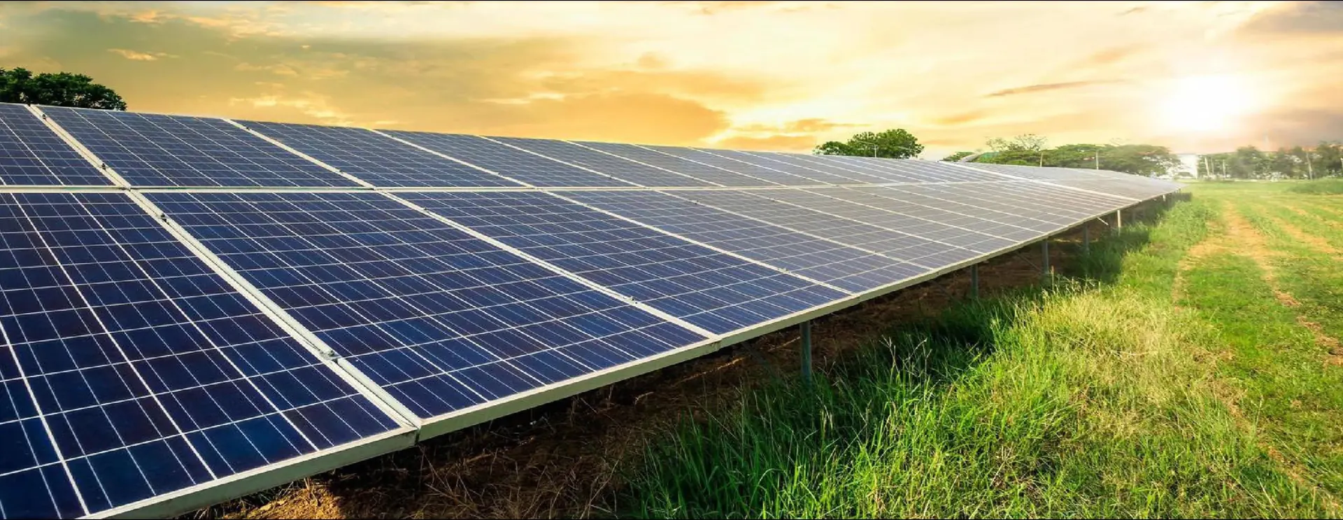 Large ground-mount solar farm at sunset